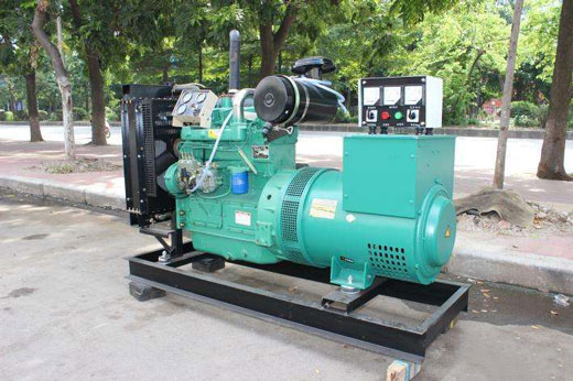 新龙镇发电机不发电的原因